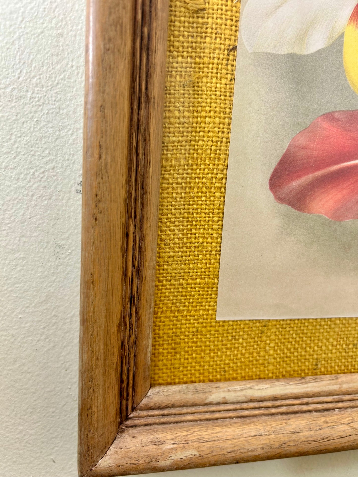 Vintage Red Floral Print