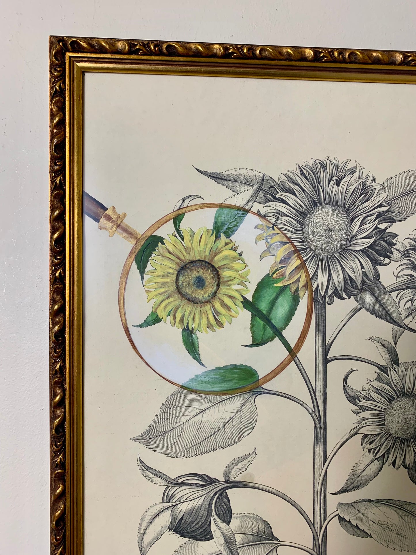 Vintage Sun Flower Print Hand Painted Artwork