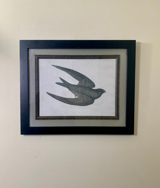 Vintage Framed Black Bird Artwork