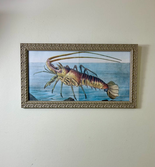 Vintage Framed Lobster Print Artwork