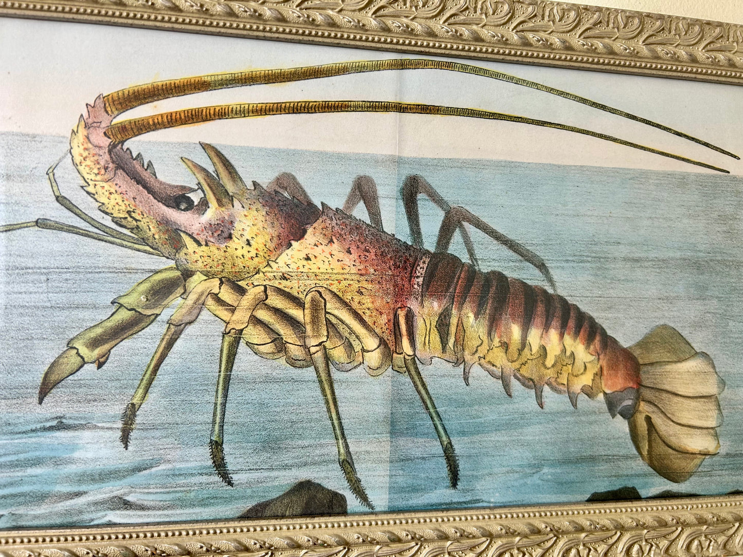 Vintage Framed Lobster Print Artwork