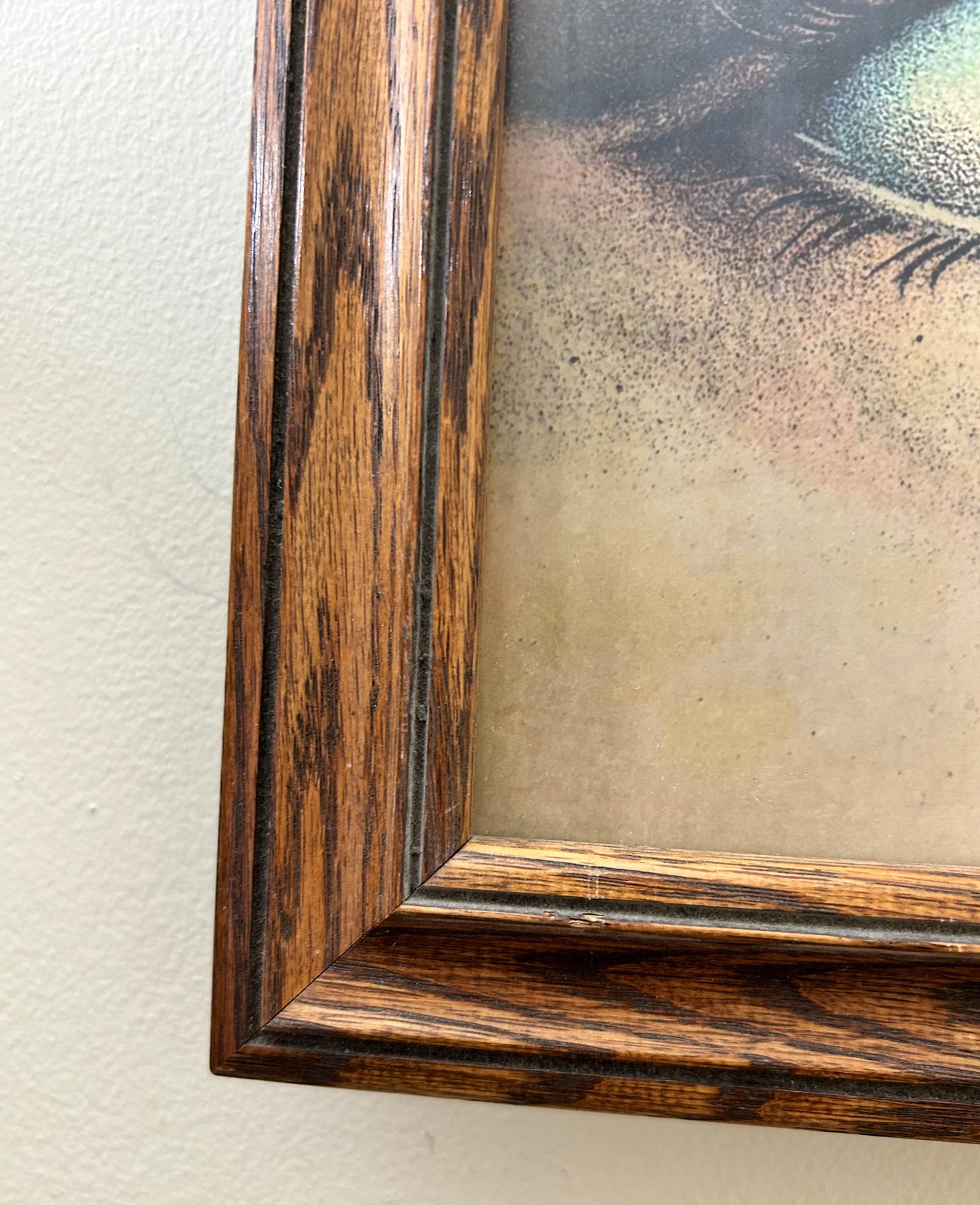 Vintage Framed Eye Print Artwork