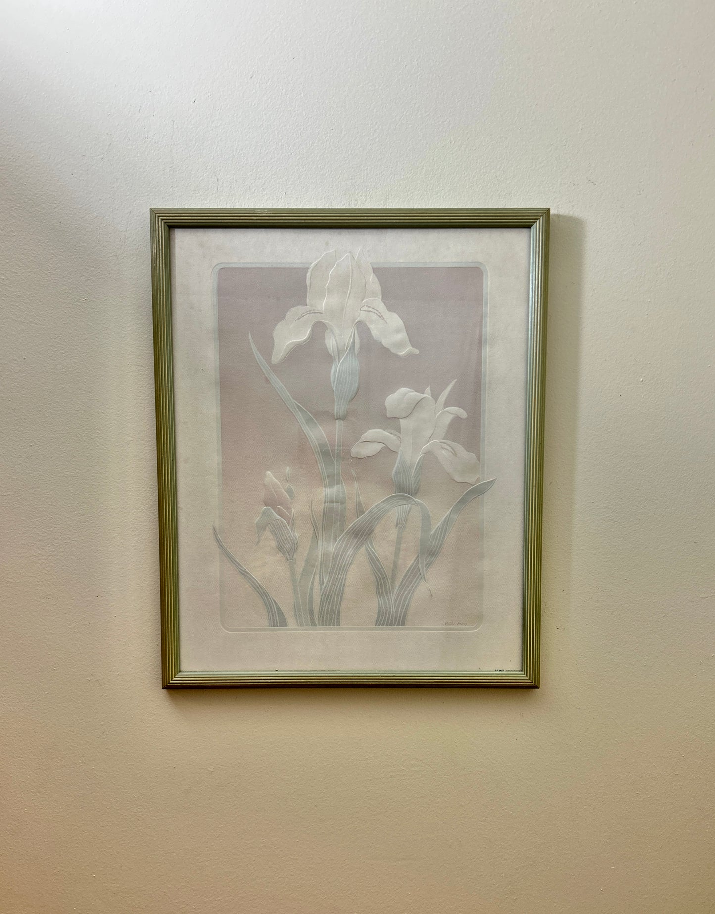 Vintage Signed Lithograph Iris Flower Artwork