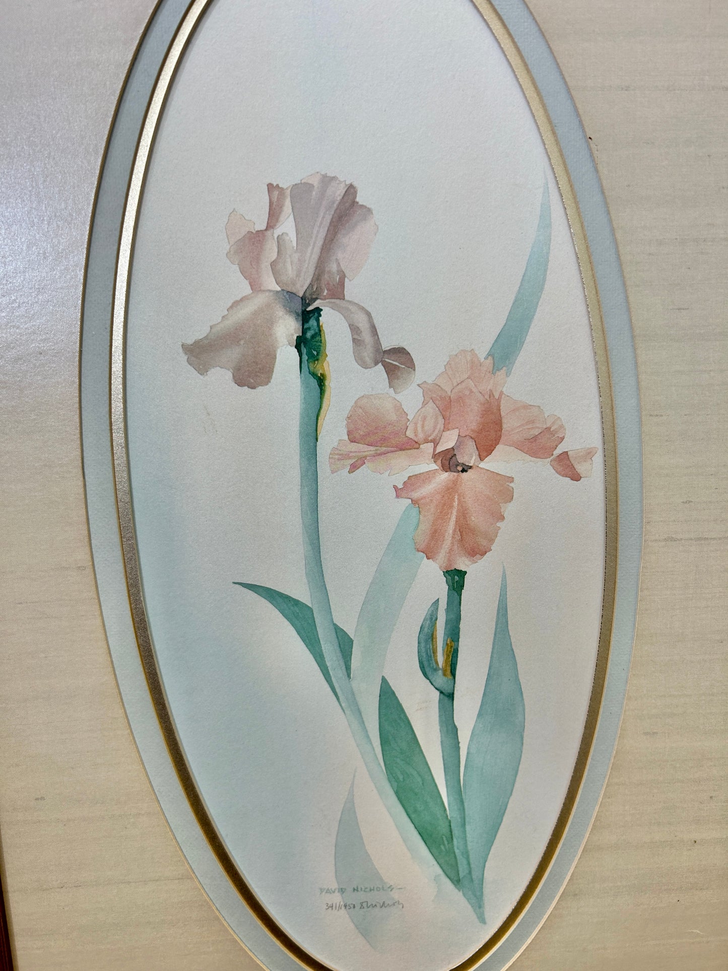 Vintage Framed Numbered Flower Print Artwork
