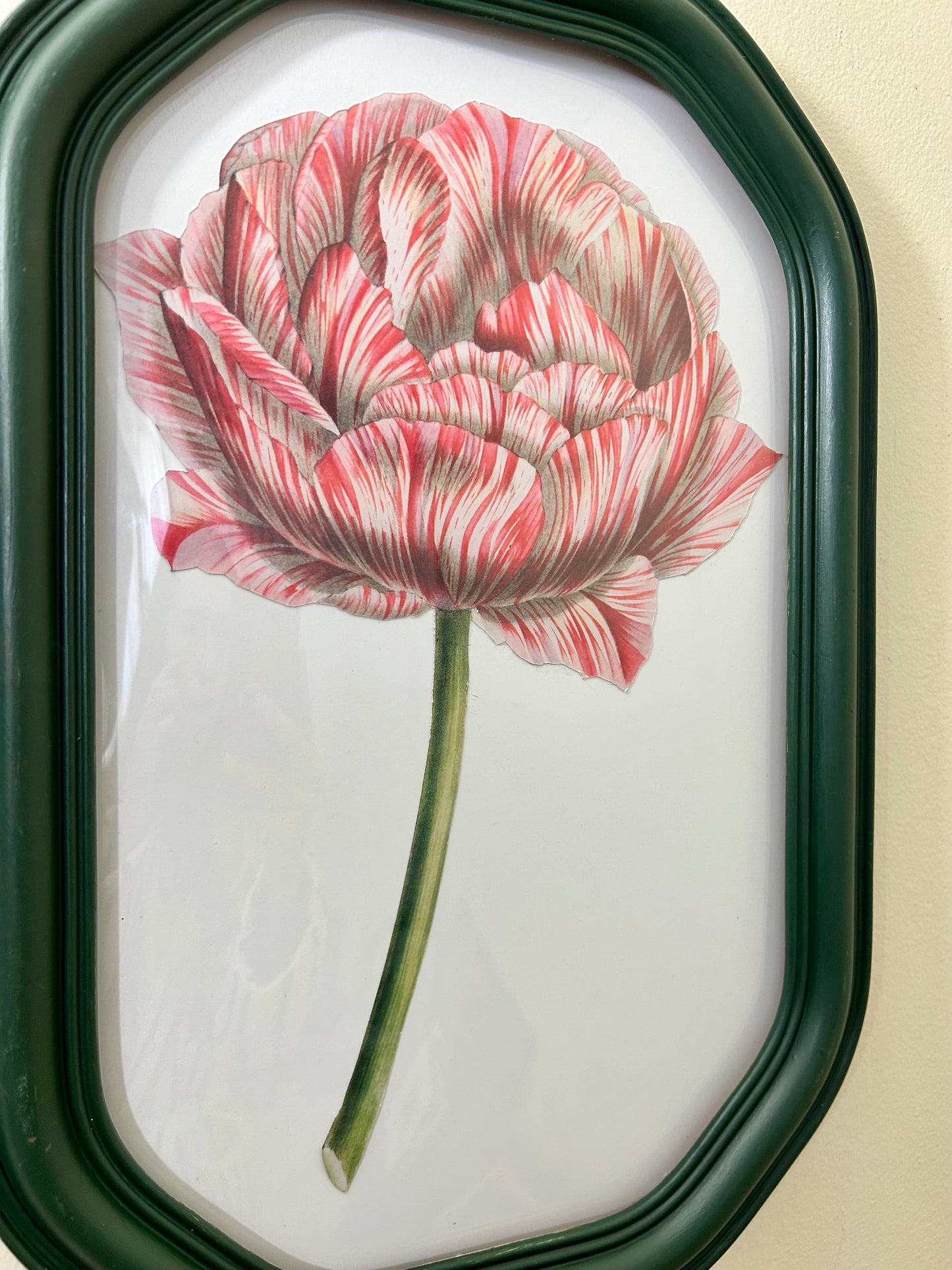 Vintage Framed Flower Artwork