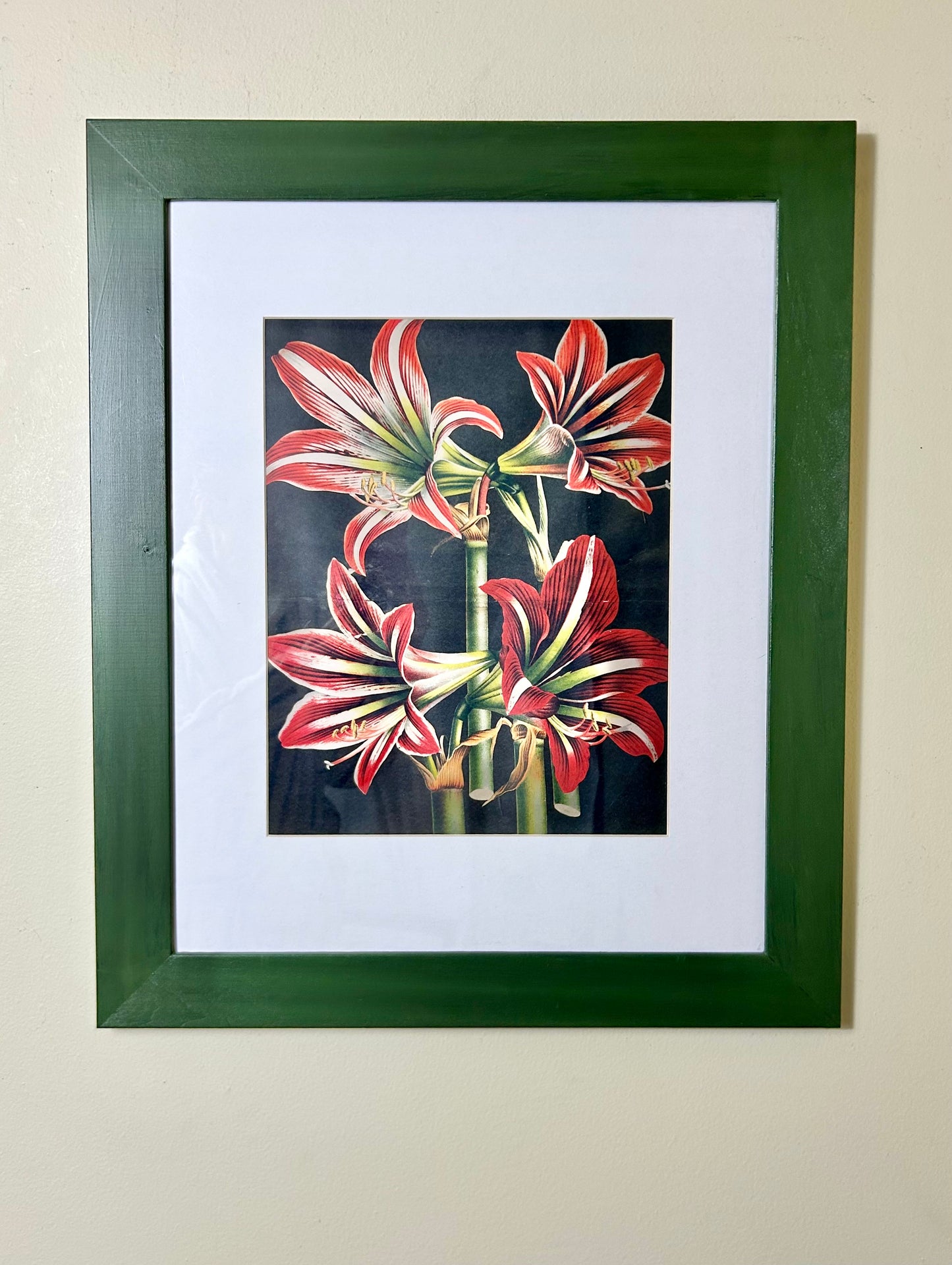 Vintage Framed Floral Lily Artwork