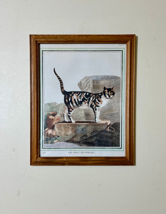 Vintage Framed Cat Artwork